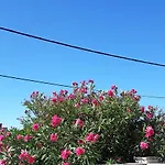 Kamen